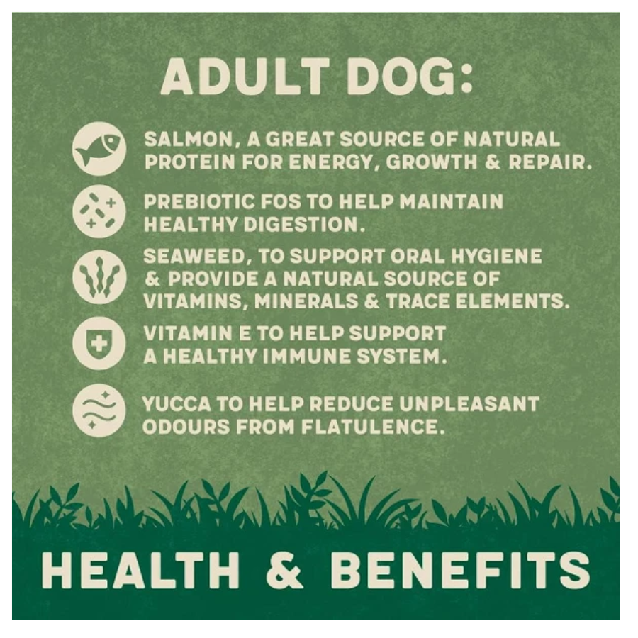 Harringtons Complete Dry Adult Dog Food Salmon & Potato 1.7kg Pack of 4